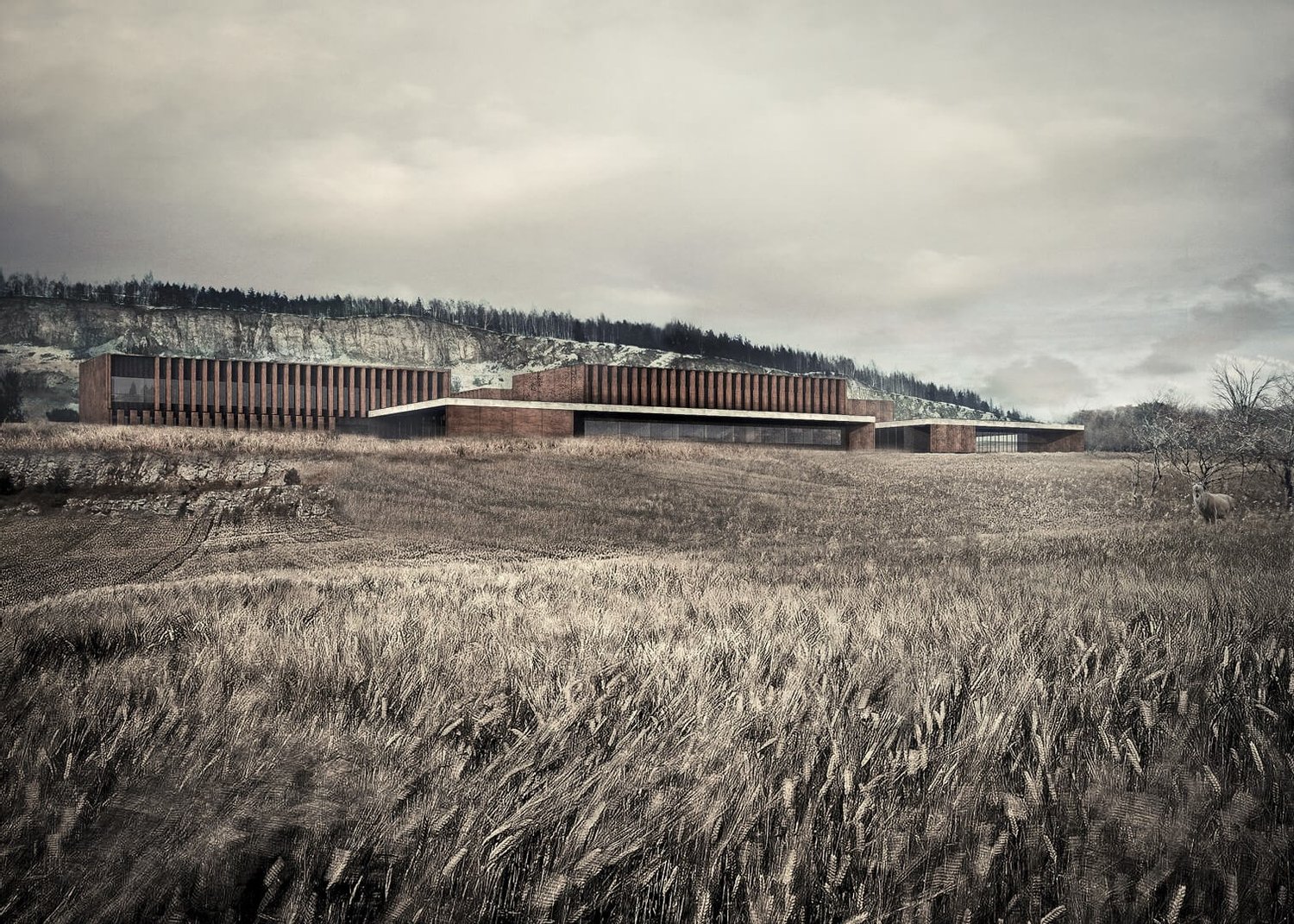 Europejskie Centrum Edukacji Geologicznej-3
